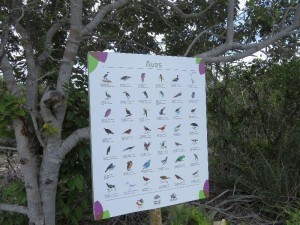 Placas com espécies de aves encontradas no local