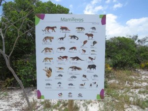 Placas com espécies de mamíferos encontradas no local