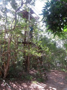 Torre de observação na reserva de Sapiranga, Bahia