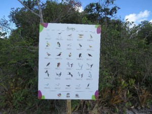 Placas com espécies de aves encontradas no local