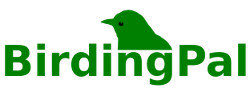 BirdingpalLogo_004-250